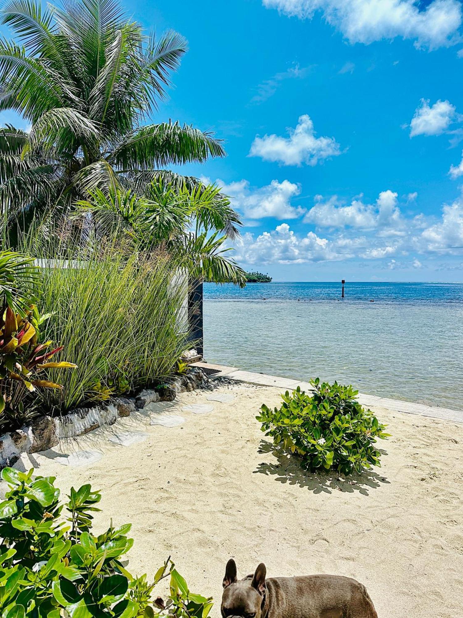 Pension Irivai Appartement Puatou 1 Chambre Bord De Mer Uturoa Extérieur photo
