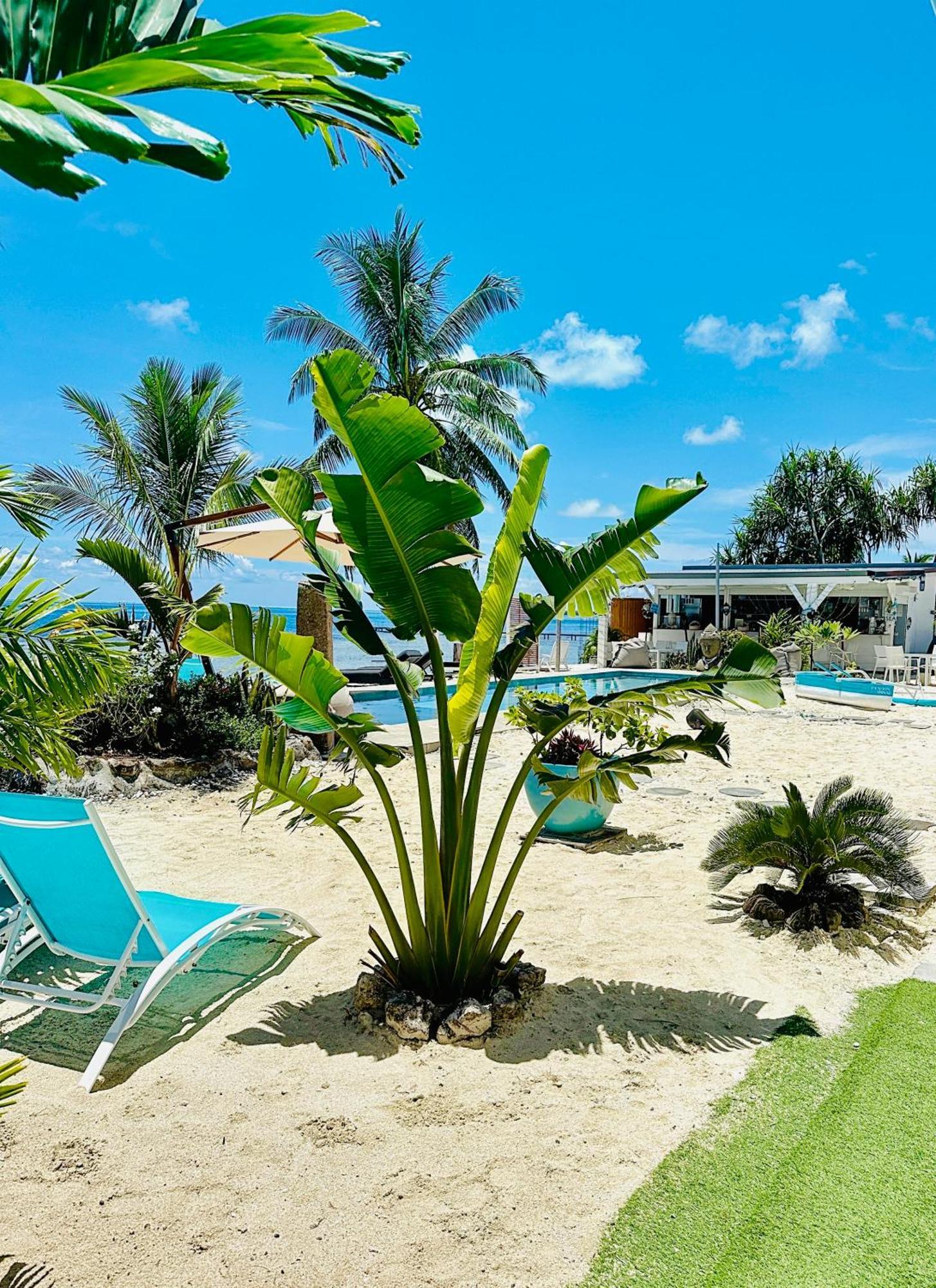 Pension Irivai Appartement Puatou 1 Chambre Bord De Mer Uturoa Extérieur photo
